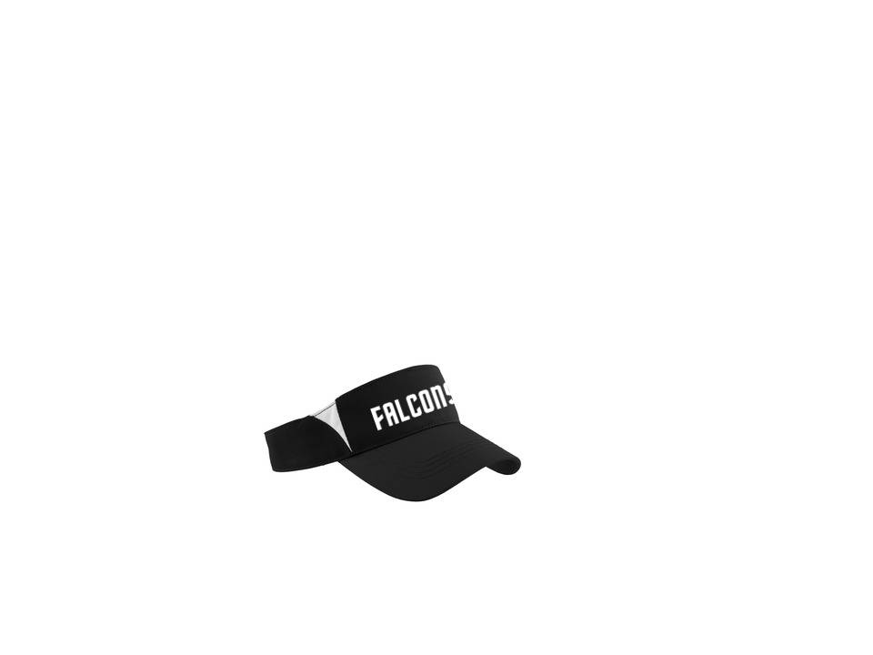 Visor