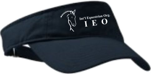 31. Visor