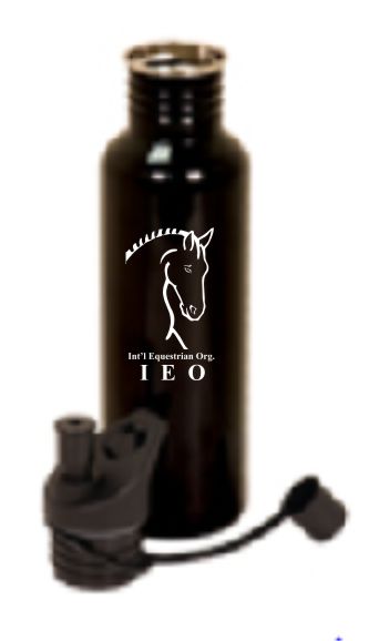 37. Stainless steel water bottle