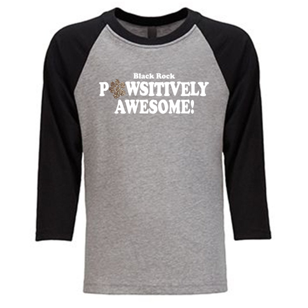 #11 Girls/Ladies Pawsitively Awesome Baseball jersey 