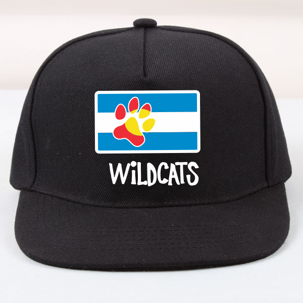 #17 Wildcats CO Flag Flat Bill Snap Back Cap
