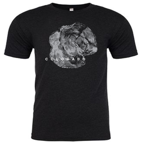 #107 Tri-Blend Vintage Black T-Shirt