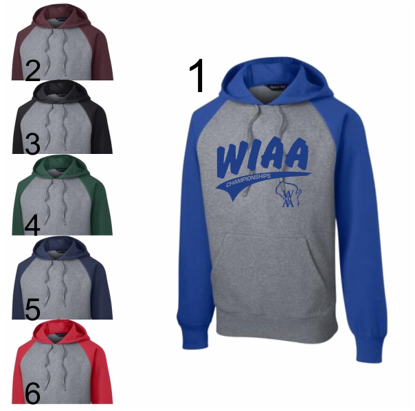 Colorblock Hooded Sweatshirt