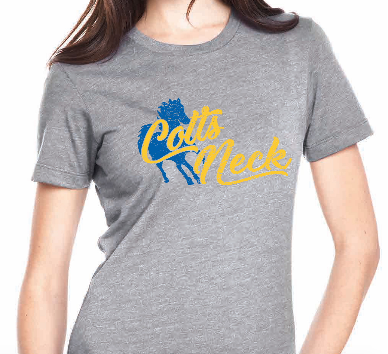 H2) Colts Neck Next Level Grey Women's T