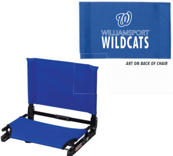 Stadium Chair