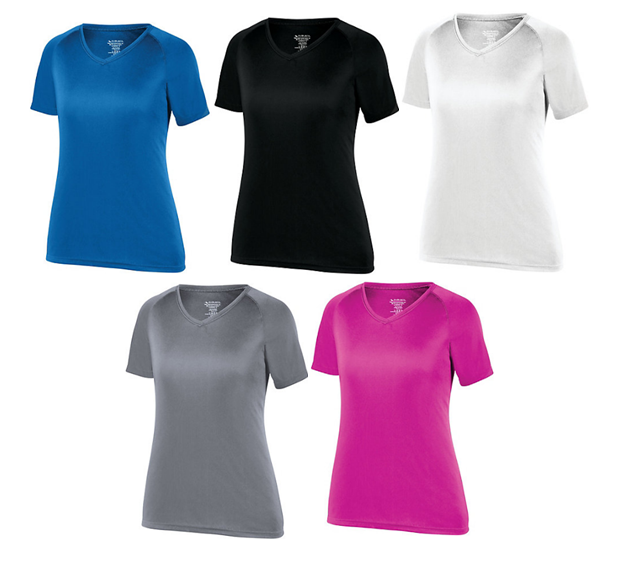 Ladies Wicking Vneck