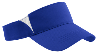 Visor