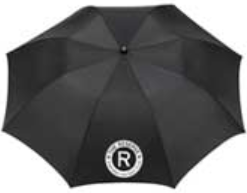 42 in. Auto Open Folding Umbrella