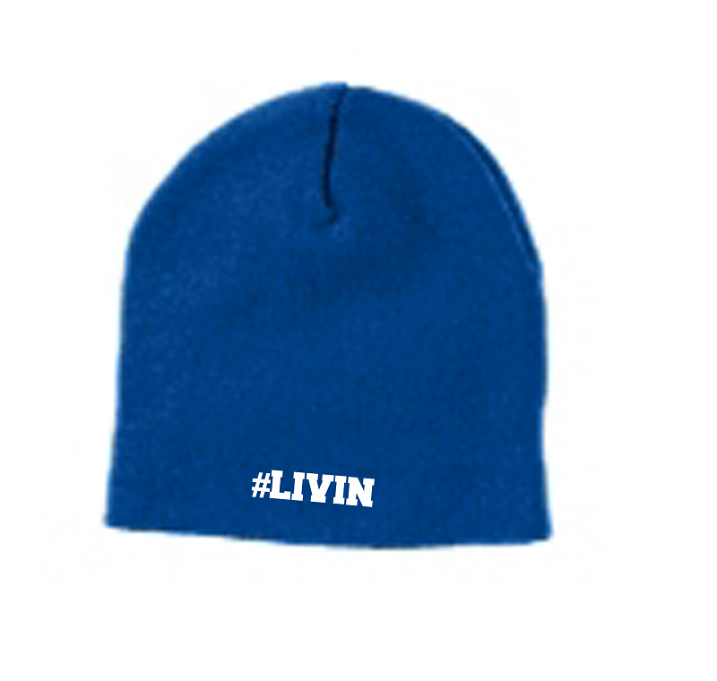 q-Skull cap beanie (1500)