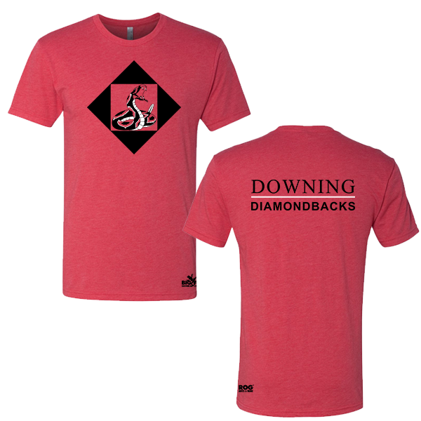 Downing Snake Triblend T-Shirt (6010)
