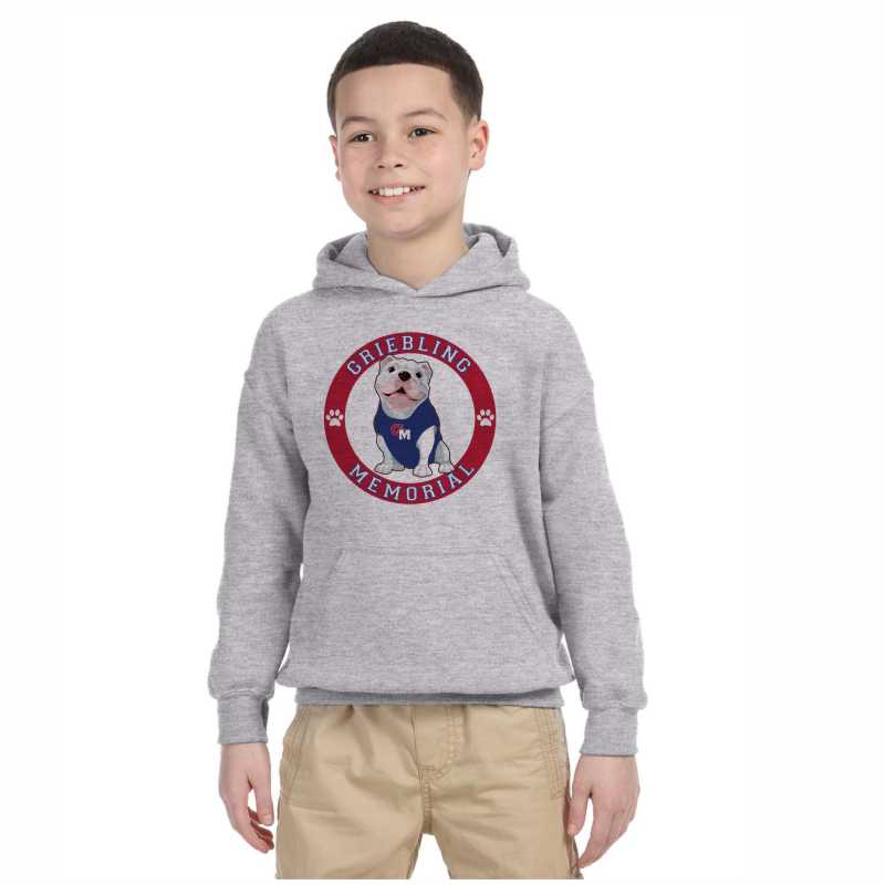 G185, G185B Unisex Youth Hoodie