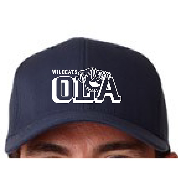 L. 8150 - ADULT Flexfit Cap.