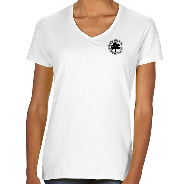 G. 5V00LSP - Ladies' Printed Short Sleeve V-Neck T-Shirt.