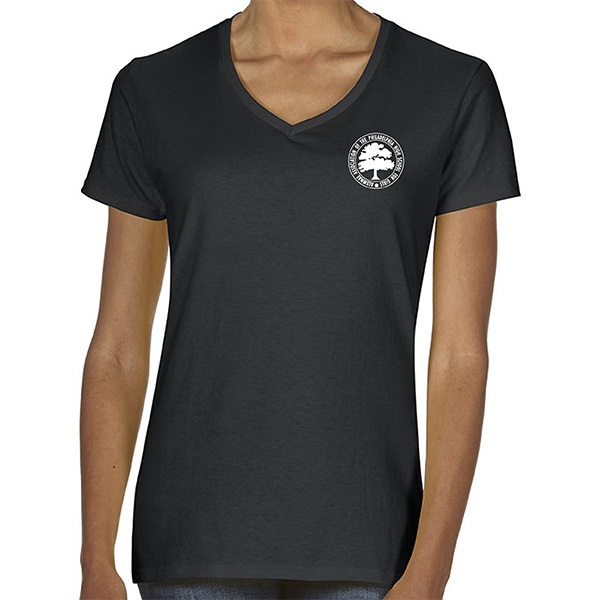 H. 5V00LE1 - Ladies' Embroidered Short Sleeve V-Neck T-Shirt.
