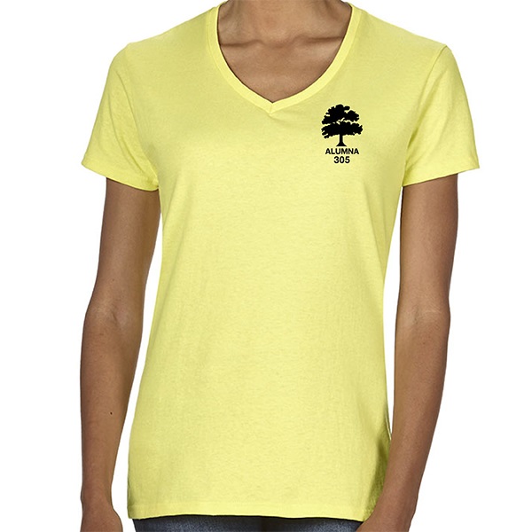 I. 5V00LE2 - Ladies' Embroidered Short Sleeve V-Neck T-Shirt.