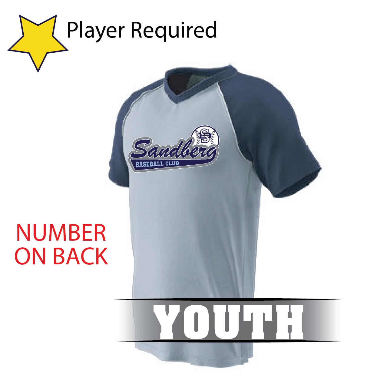 7-BS35 YOUTH V-Neck 2 Tone Jersey