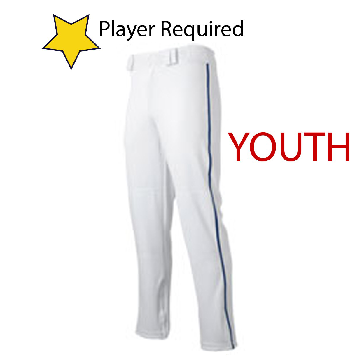 1- *BP91U YOUTH Champro Pro-Plus Pants Open Bottom 
