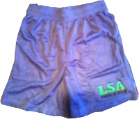 Mesh Shorts