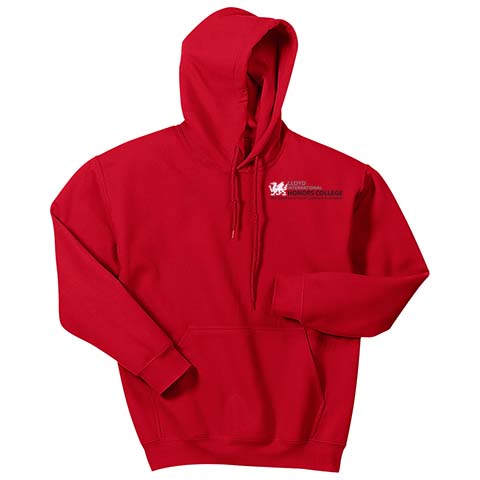 05 Full Color Logo- Hoodie