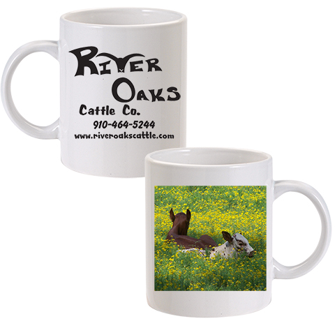 15 Mug- Calves in Daisies