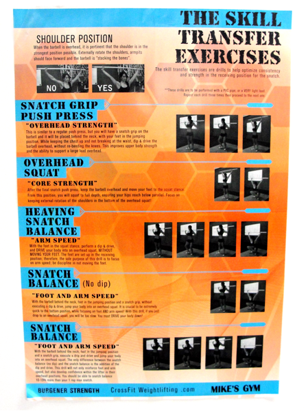 (p1) Skill Transfer Poster