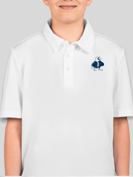 075 NEW!!! Paragon Youth Saratoga Performance Minim Mesh Polo (11171)