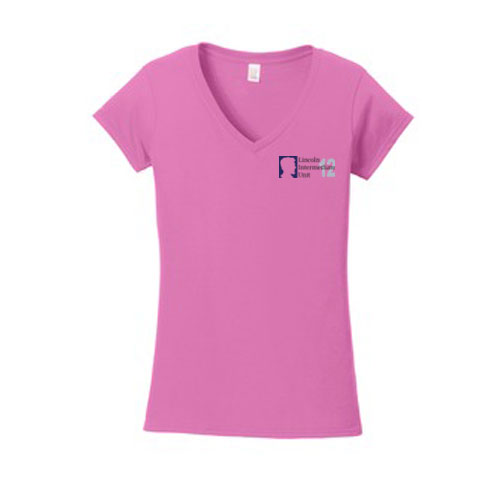 C 64V00L Ladies Softstyle V-Neck T-shirt