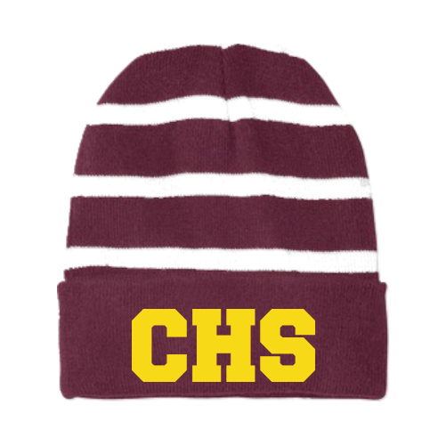 F STC31 Sport-Tek Striped Beanie