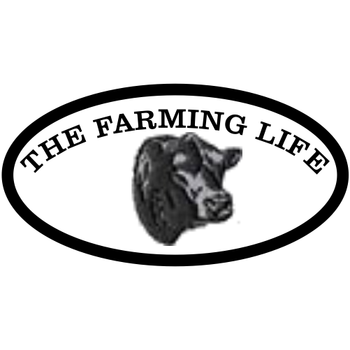 PM Magnet