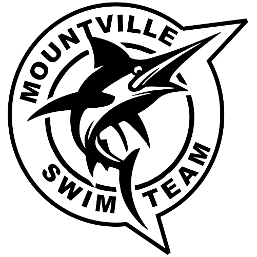X Magnet or Vinyl Decal