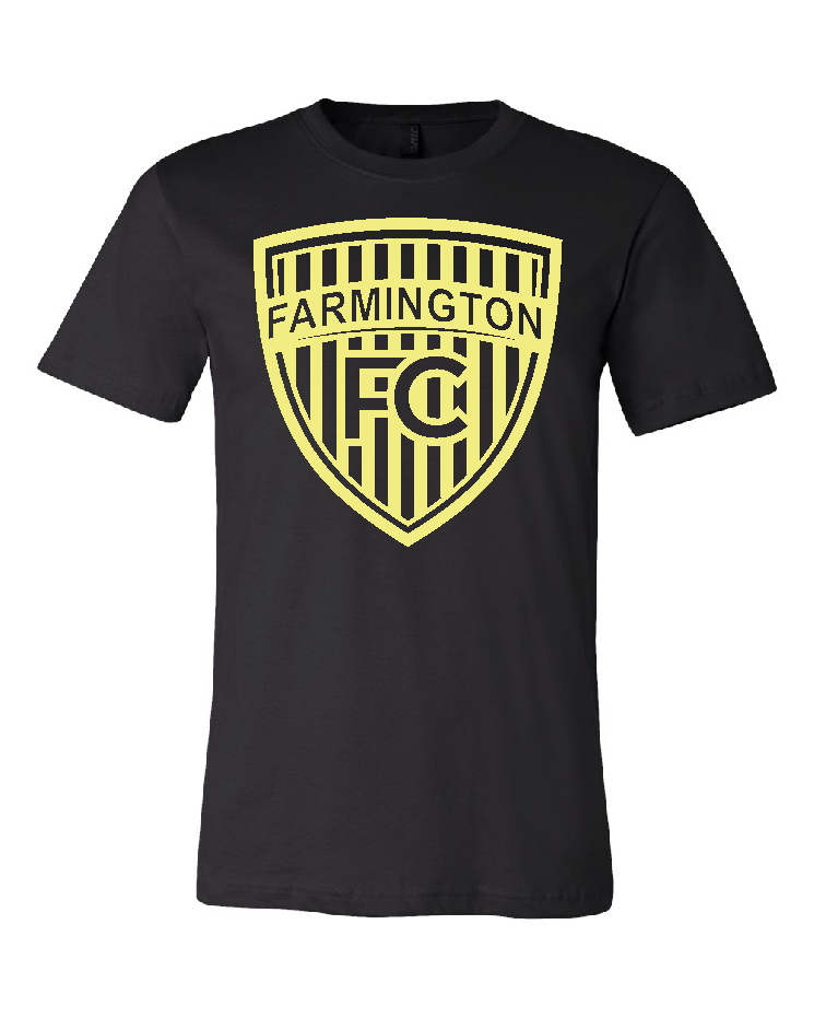 Farmington FC Gold logo