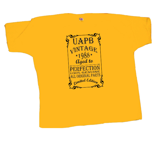0097 UAPB Vintage T-shirt