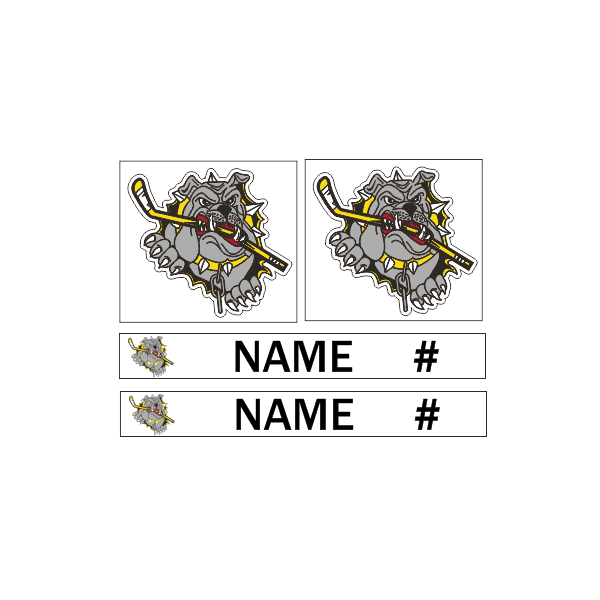 17 Personalized Helmet and Stick Decal