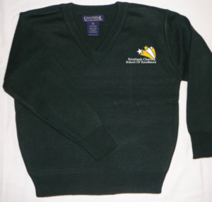 3-U8835 Embroidered Youth V-neck Sweater