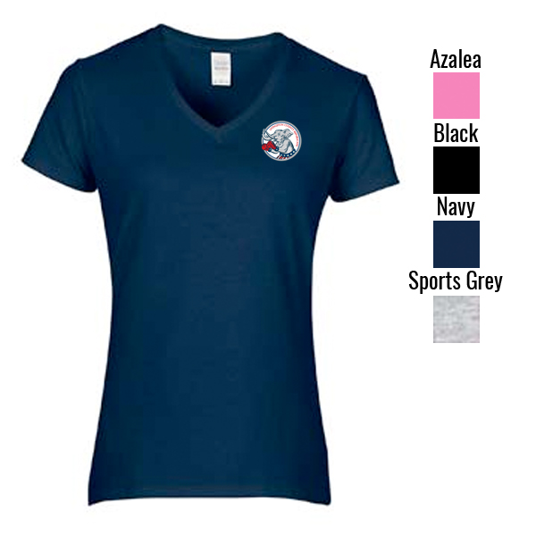 Ladies Vneck Tshirt