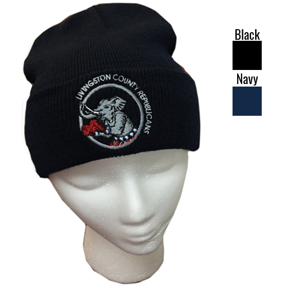 Knit Fold over Beanie