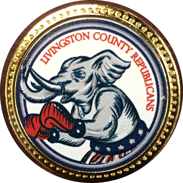 Lapel Pin