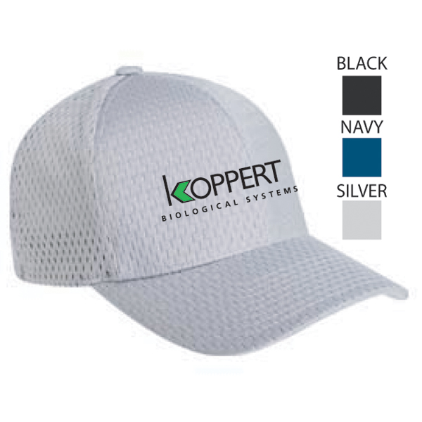 Mesh Baseball Hat