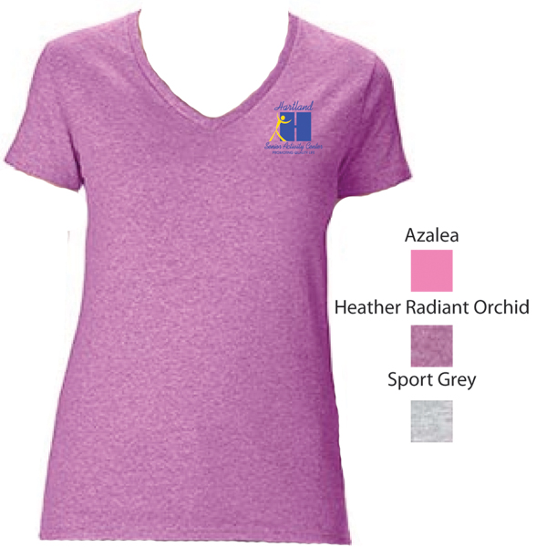 Ladies Vneck TShirt