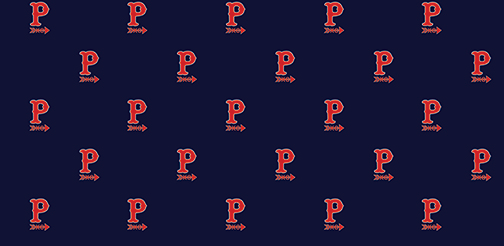 Gaiter - Parker P XC