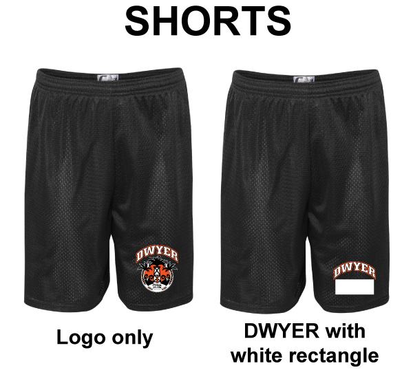 H2. Dwyer Shorts with logo