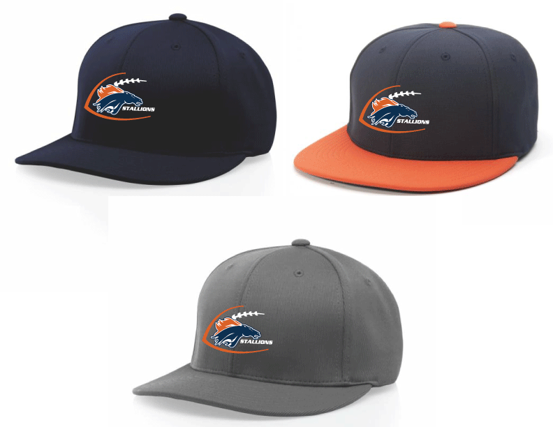 PTS20 - Pulse Flexfit Hat
