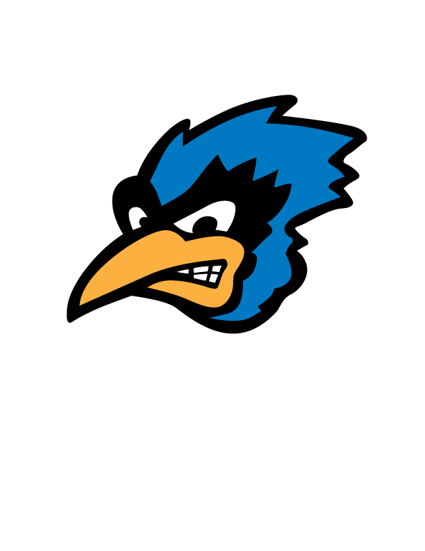 Decal - Bluejay Head